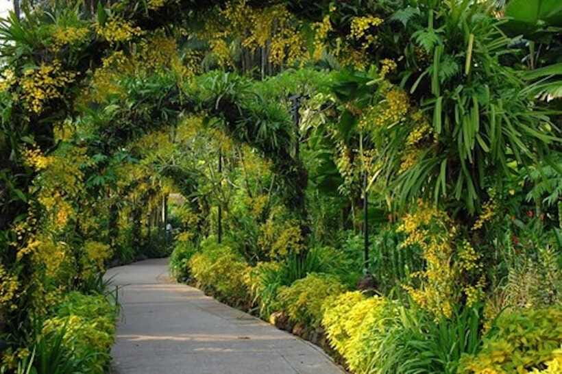 Singapore: National Orchid Garden Entry Tickets - Who should book this experience