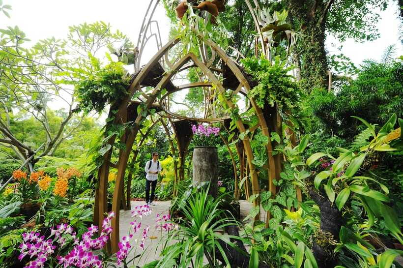 Singapore: National Orchid Garden Entry Tickets - Should you book the National Orchid Garden?