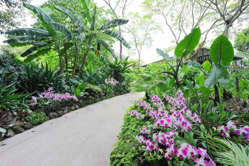Singapore: National Orchid Garden Entry Tickets - Entering the four color zones