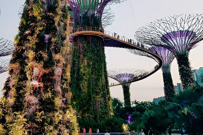 Singapore OCBC Skyway Flower dome Cloud Forest Garden by the Bay - Key things to know before you book
