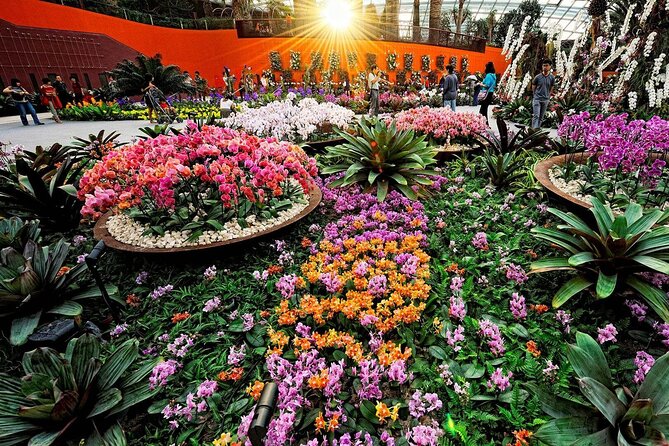 Singapore OCBC Skyway Flower dome Cloud Forest Garden by the Bay - Garden Rhapsody: the free finale you should plan around