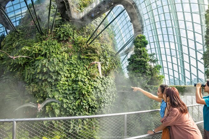 Singapore OCBC Skyway Flower dome Cloud Forest Garden by the Bay - Is $54.81 good value?