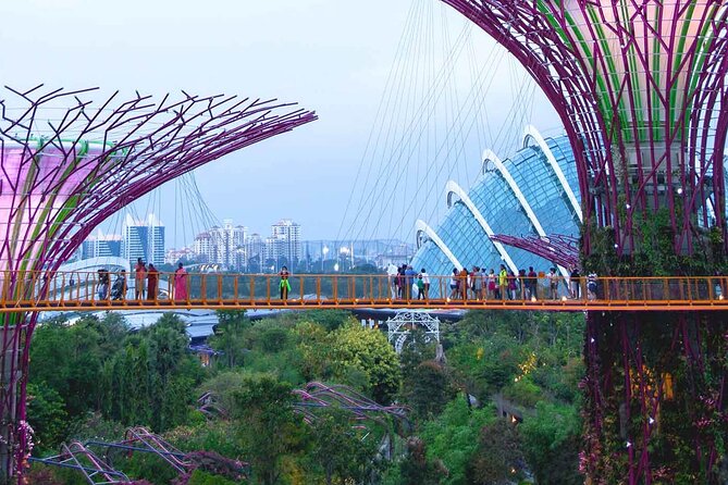 Singapore OCBC Skyway Flower dome Cloud Forest Garden by the Bay - Cloud Forest: waterfall, mist, and the dinosaur display
