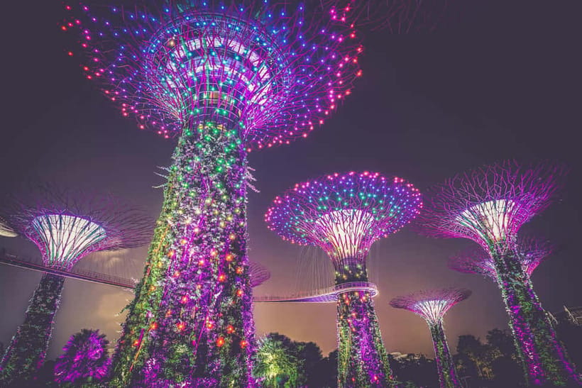 Singapore River Cruise, Garden Rhapsody & Spectra by CYT - Garden Rhapsody beneath the Supertrees
