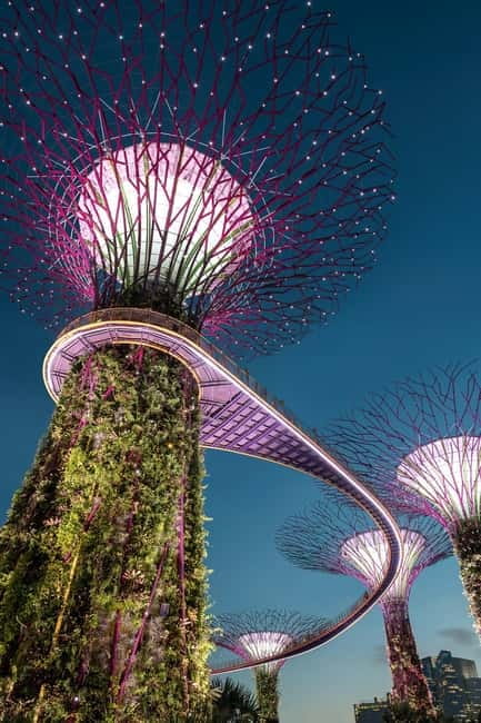 Singapore River Cruise, Garden Rhapsody & Spectra by CYT - Pace, group movement, and the practical drawbacks