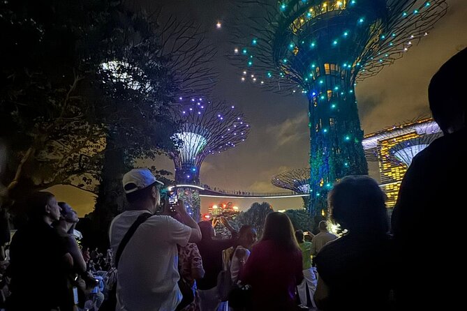 Singapore River Cruise, Night Garden Rhapsody and Spectra Tour - Why this evening works well in Singapore