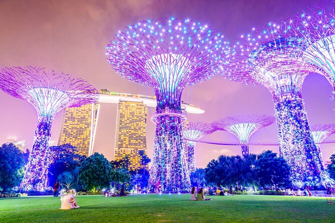 Singapore River Cruise, Night Garden Rhapsody & Spectra by CYT - Key points at a glance