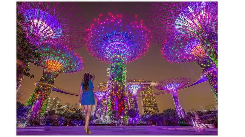 Singapore River Cruise, Spectra & Garden Rhapsody Light Show - Merlion Park is brief but perfectly placed