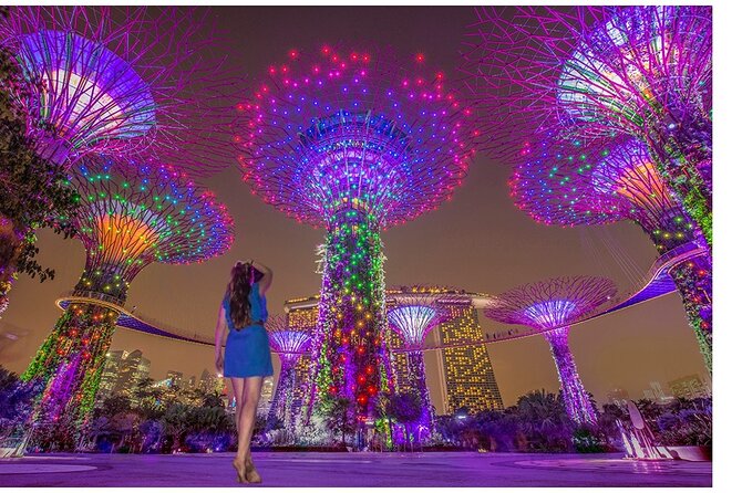 Singapore River Cruise with Spectra & Garden Rhapsody Light Show - What this Singapore night tour actually delivers