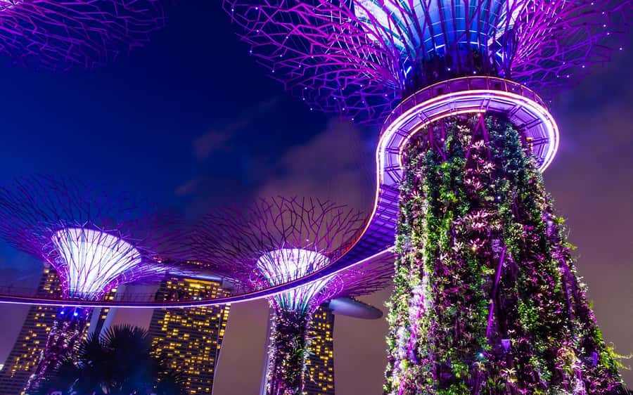Singapore Starry Night: Cruise, Garden Rhapsody & Spectra - Who should book this experience?