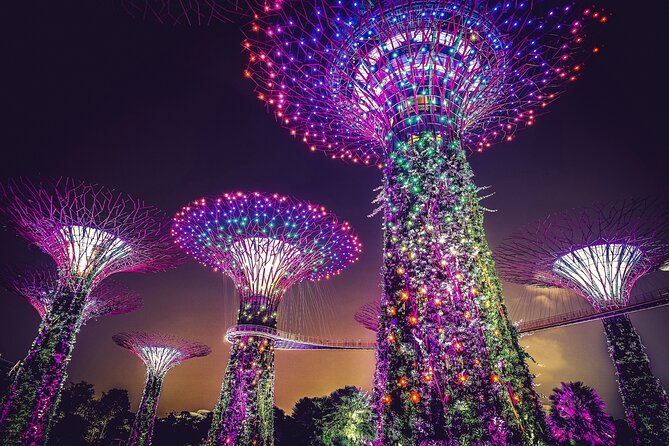 Singapore Starry Night Cruise, Garden Rhapsody & Spectra Show - Starting at the Singapore Flyer and F1 Pit Building