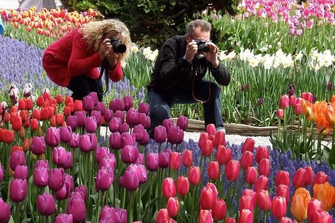 Skagit Valley Tulip Festival Day Tour from Seattle - Tulip Valley Farms and your first hour in the fields