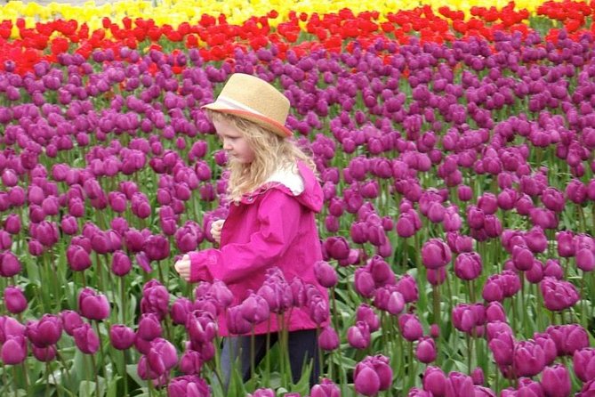 Skagit Valley Tulip Festival Day Tour from Seattle - What the $185.72 price really covers