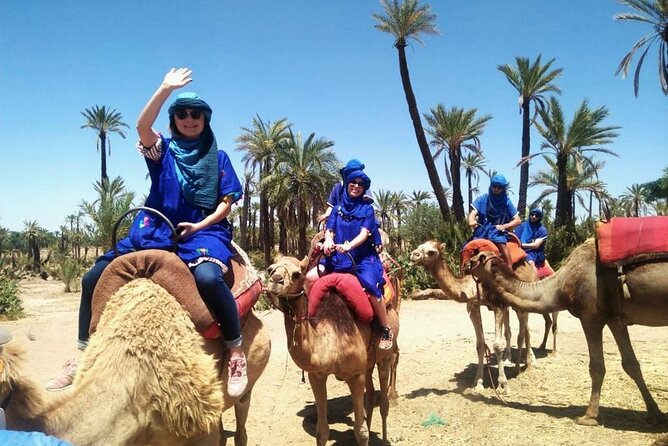 Skip the line at : Majorelle Garden and Palm Garden. - Crossing to La Palmeraie