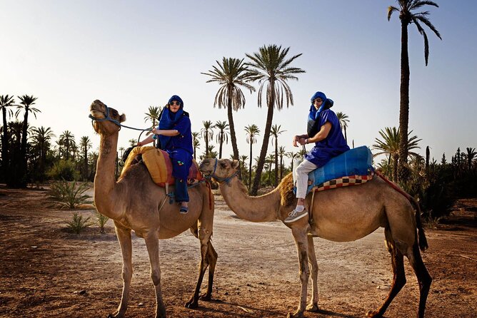 Skip the line at : Majorelle Garden and Palm Garden. - What the camel ride is really like