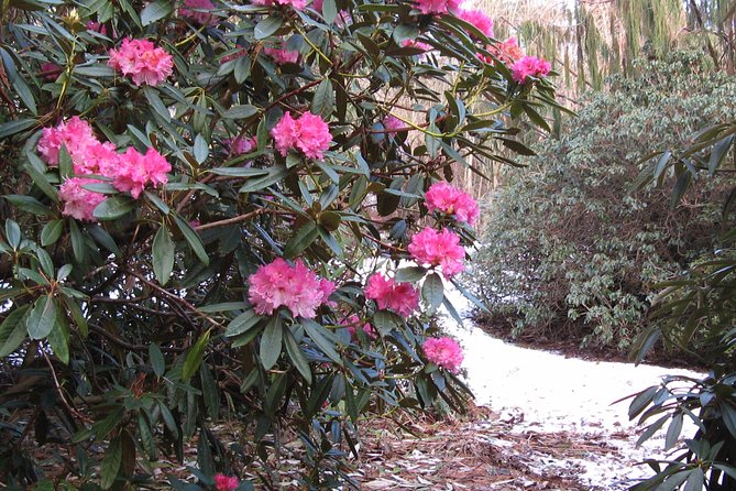 Skip-the-Line: Botanic Garden Entry Ticket - Timing, seasons, and weather