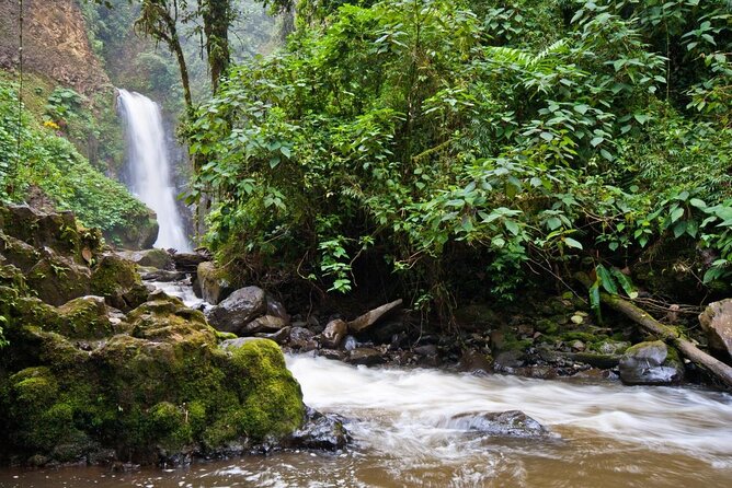 Skip the Line:Day Ticket-La Paz Waterfall Gardens Nature Park & Wildlife Refuge - Why La Paz works as a compact Costa Rica sampler