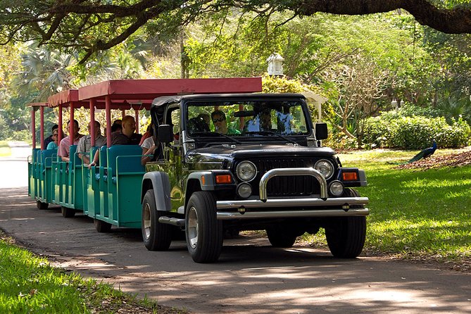 Skip the Line: Flamingo Gardens Admission Ticket in Fort Lauderdale - Wildlife encounters, from flamingos to panthers