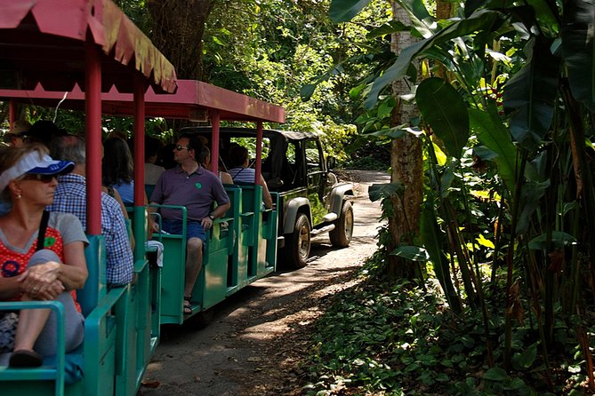Skip the Line: Flamingo Gardens Admission Ticket in Fort Lauderdale - The Wray House connects the gardens to local history