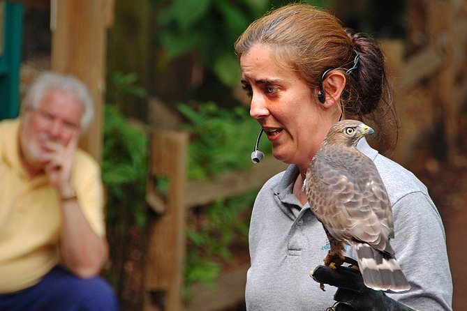 Skip the Line: Flamingo Gardens Admission Ticket in Fort Lauderdale - Allow about four hours, and pace yourself