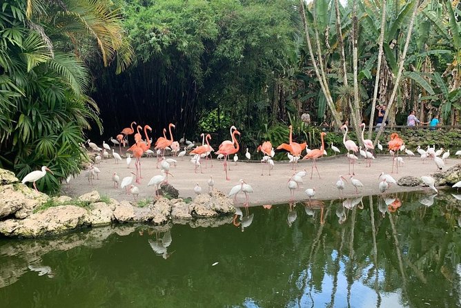 Skip the Line: Flamingo Gardens Admission Ticket in Fort Lauderdale - Start with the tram, then walk the gardens