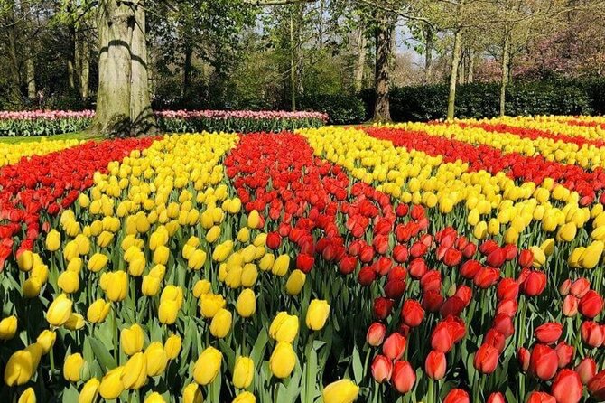 Skip-the-Line Keukenhof Gardens and Tulip Fields Tour from Amsterdam - Is $639.96 a Fair Price?