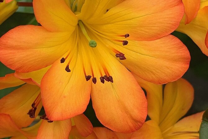 Skip the Line: Vallarta Botanical Garden Admission Ticket - What the admission ticket includes