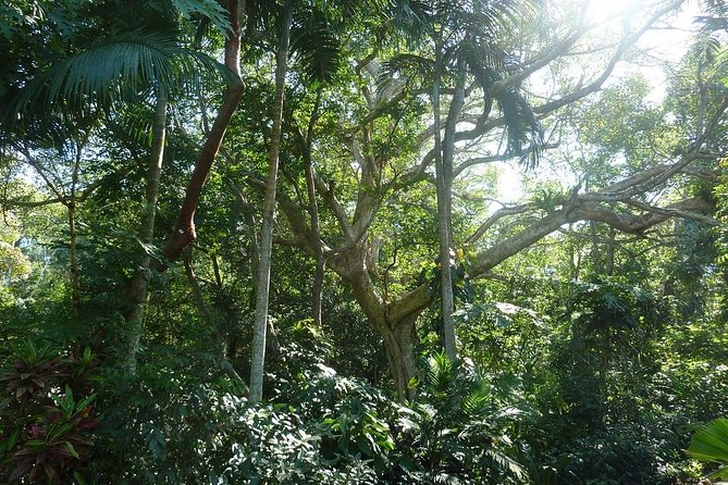 Skip the Line: Vallarta Botanical Garden Admission Ticket - Is the skip-the-line ticket good value?