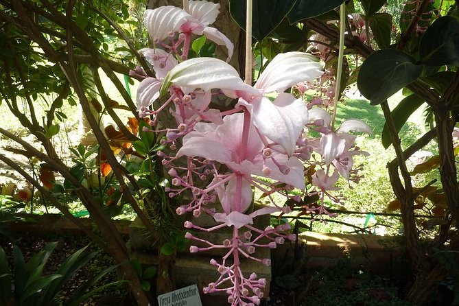 Skip the Line: Vallarta Botanical Garden Admission Ticket - Swimming in Los Horcones River