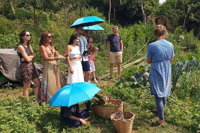 Slowlife Family Farm- Cook with us From Garden to Table Syracuse - Price, timing, and practical value