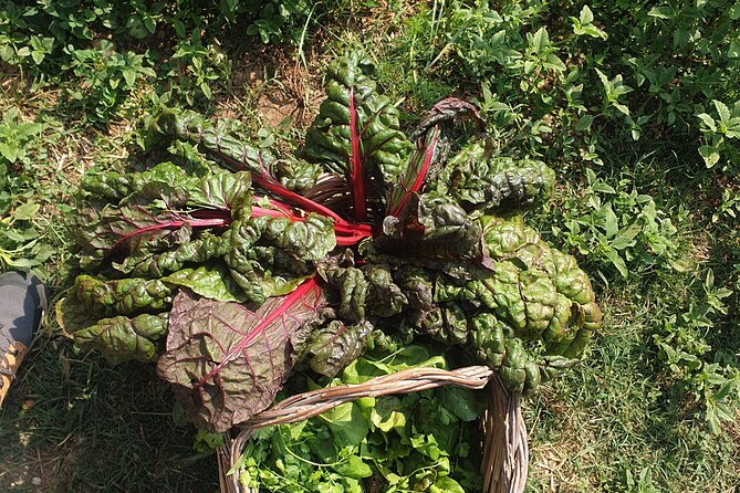 Slowlife Family Farm- Cook with us From Garden to Table Syracuse - Food restrictions and accessibility details