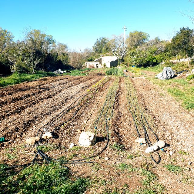 Slowlife Family Farm: From Garden to Table - Olive oil and wine with a sense of place