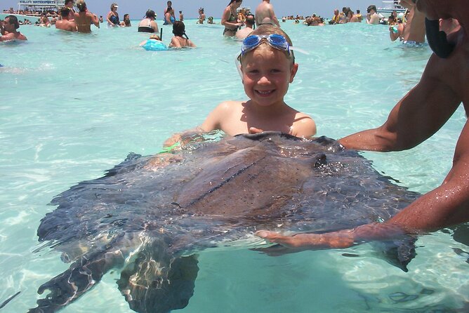 Small Group 7 Mile Beach Stingray City and Coral Gardens Tour - Physical demands and practical comfort
