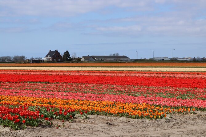 Small Group Keukenhof and Delft Guided Tour from Amsterdam - Keukenhof before the crowds build