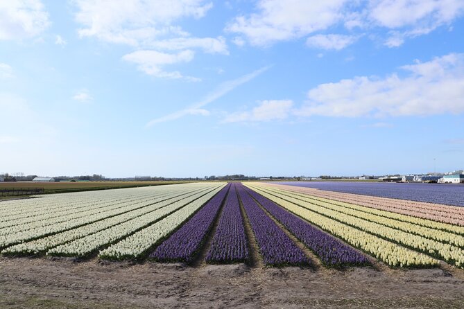 Small Group Keukenhof and Delft Guided Tour from Amsterdam - Delft offers a useful change of pace