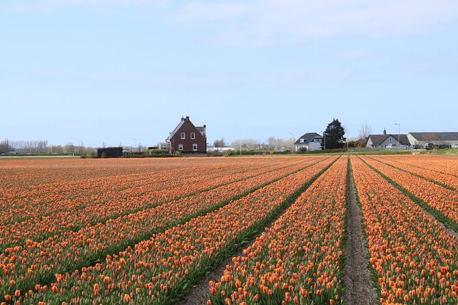 Small Group Keukenhof and Delft Guided Tour from Amsterdam - Delftware is the cultural centerpiece