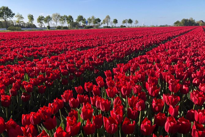 Small Group Keukenhof and Delft Guided Tour from Amsterdam - The guide can shape the whole day
