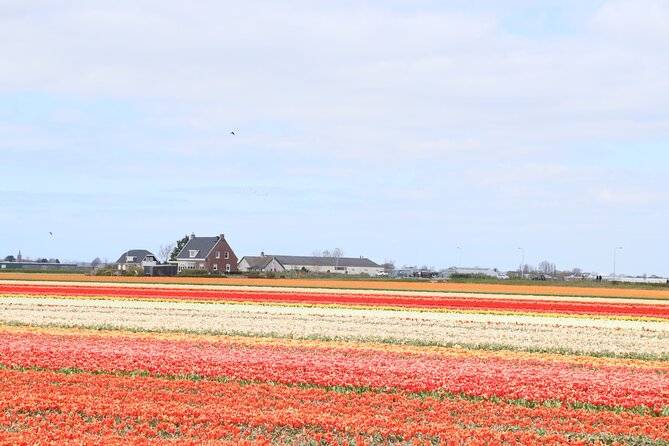 Small Group Keukenhof and Delft Guided Tour from Amsterdam - Minivan comfort and mobility limits