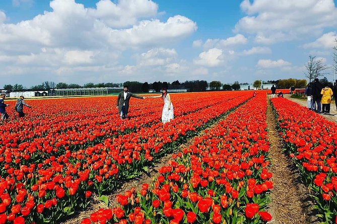 Small Group Keukenhof and Delft Guided Tour from Amsterdam - Is $191.88 a fair price?