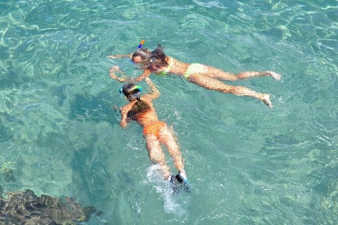 Small-Group Snorkeling Experience at Sea Garden - Leaving Blue Finn Charters in Nassau