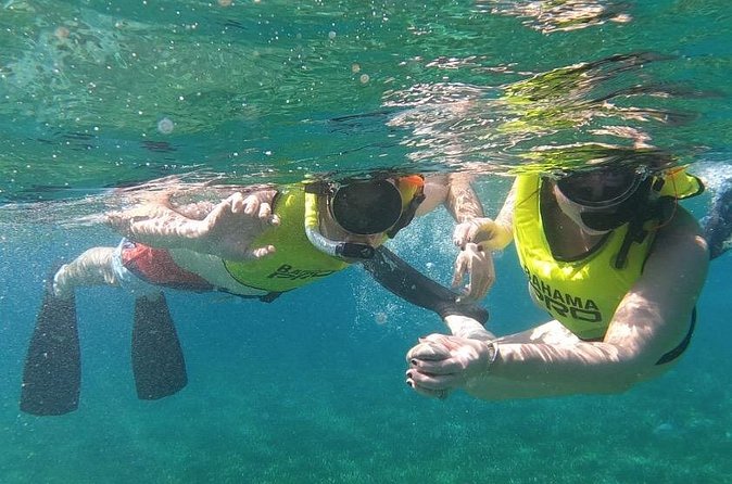 Small-Group Snorkeling Experience at Sea Garden - How long you spend in the water