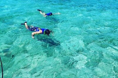 Small-Group Snorkeling Experience at Sea Garden