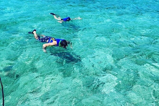 Small-Group Snorkeling Experience at Sea Garden - The Nassau Harbor boat ride