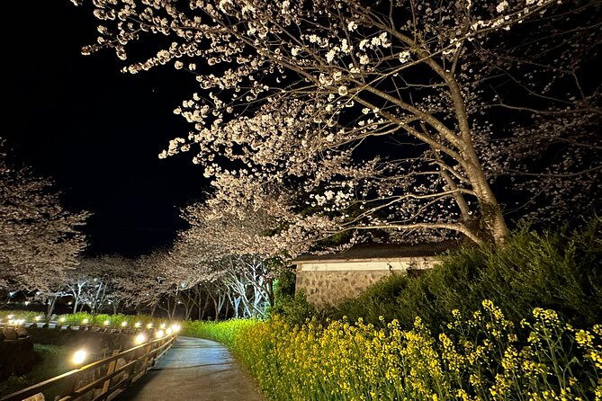 Small Group West Jeju Cherry Blossom and Strawberry Picking Tour - Why this spring tour works well