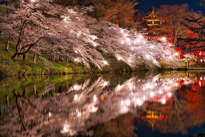 Snow Monkey and Cherry Blossom Illumination Tour (3rd ~19th Apr) - Key points to know before booking