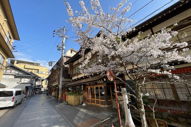 Snow Monkey and Cherry Blossom Illumination Tour (3rd ~19th Apr) - How much value do you get for $123.63?