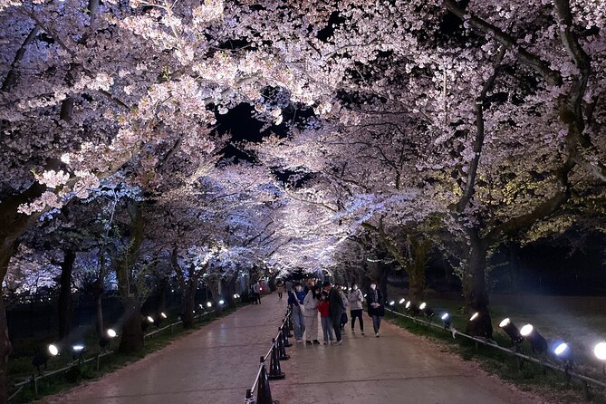 Snow Monkey and Cherry Blossom Illumination Tour (3rd ~19th Apr) - Tamamura Honten, sake, beer, and traditional art