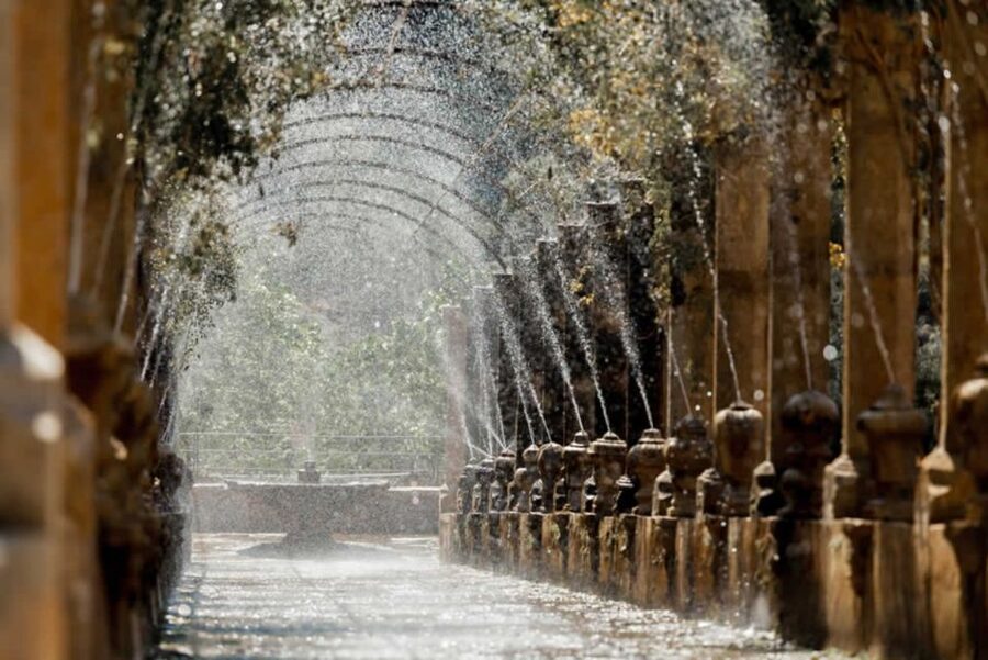 Sóller: Jardines de Alfabia Entrance Ticket - The plane-tree avenue makes the arrival memorable