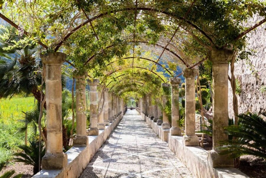 Sóller: Jardines de Alfabia Entrance Ticket - Is the $11 entrance fee good value?