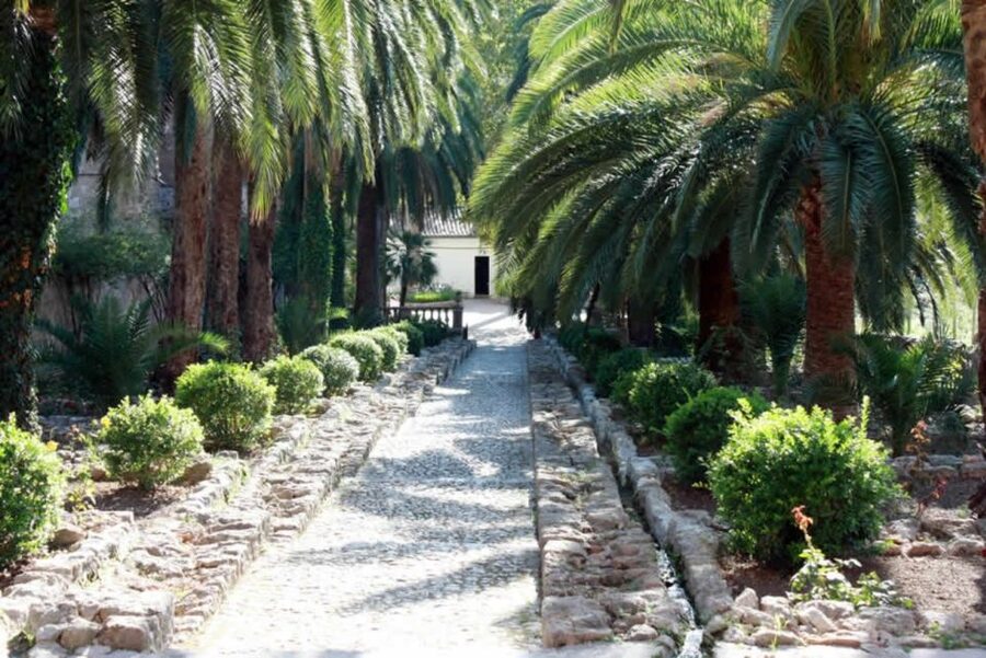 Sóller: Jardines de Alfabia Entrance Ticket - Who will enjoy Alfabia most?